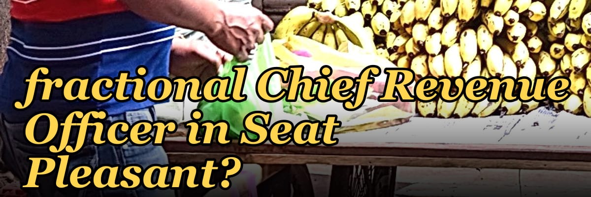Should I hire a fractional Chief Revenue Officer in Seat Pleasant?