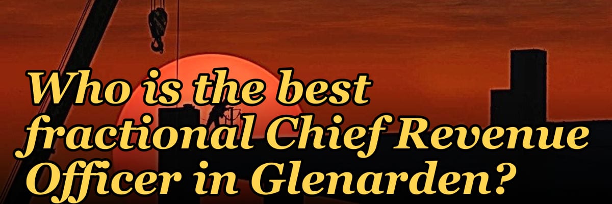Who is the best fractional Chief Revenue Officer in Glenarden?
