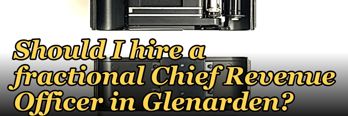 Should I hire a fractional Chief Revenue Officer in Glenarden?