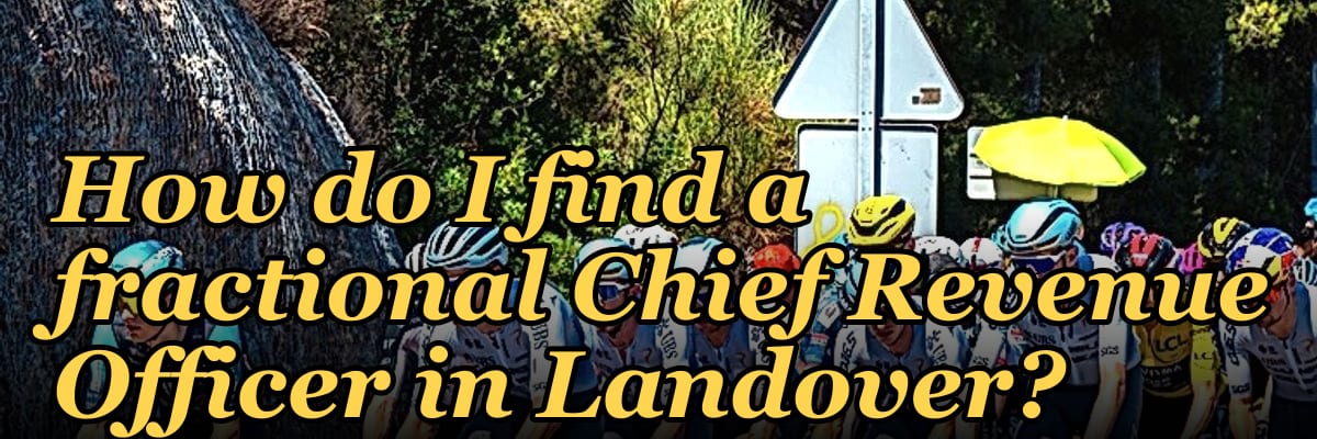 How do I find a fractional Chief Revenue Officer in Landover?