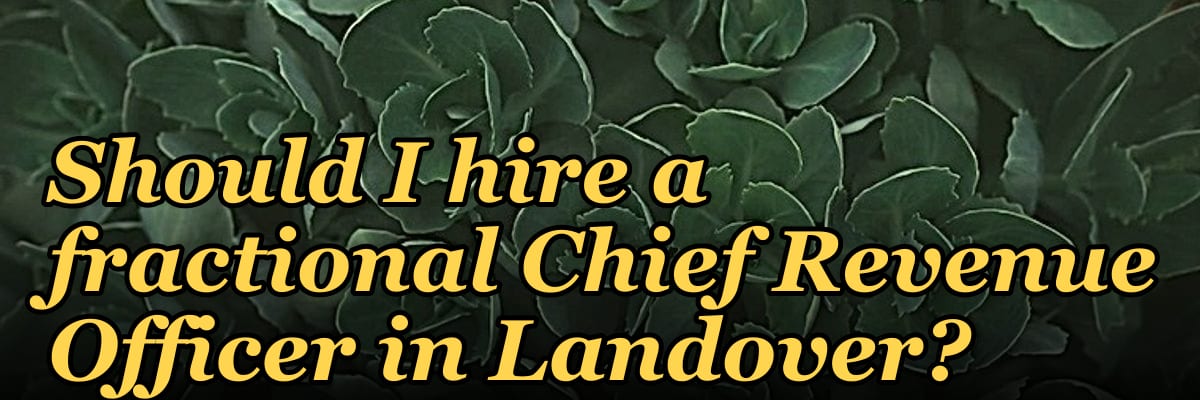 Should I hire a fractional Chief Revenue Officer in Landover?