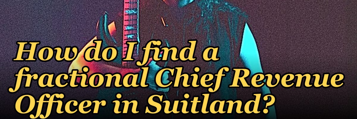 How do I find a fractional Chief Revenue Officer in Suitland?