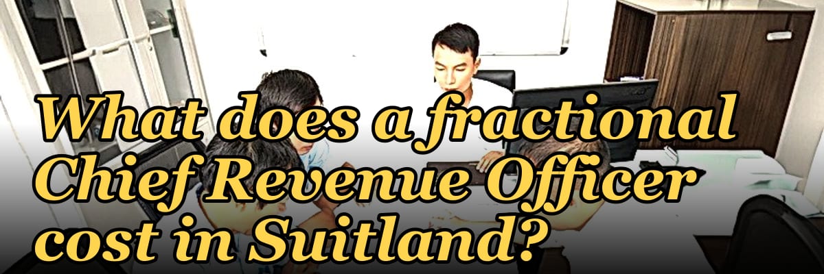 What does a fractional Chief Revenue Officer cost in Suitland?