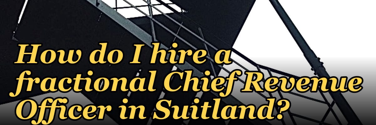 How do I hire a fractional Chief Revenue Officer in Suitland?