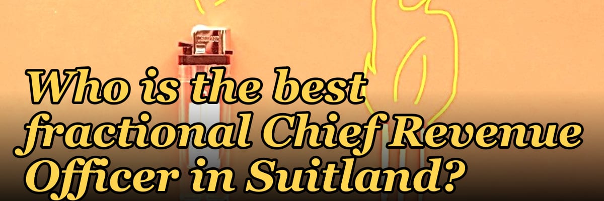 Who is the best fractional Chief Revenue Officer in Suitland?
