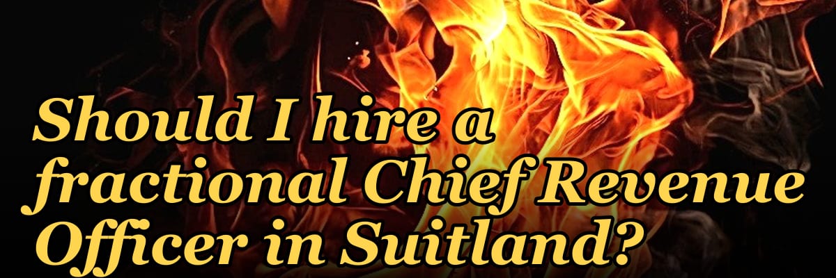 Should I hire a fractional Chief Revenue Officer in Suitland?