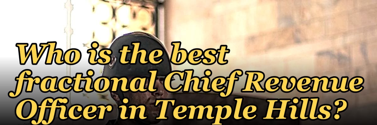 Who is the best fractional Chief Revenue Officer in Temple Hills?