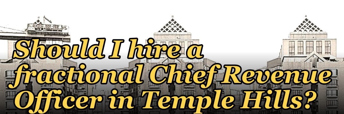 Should I hire a fractional Chief Revenue Officer in Temple Hills?