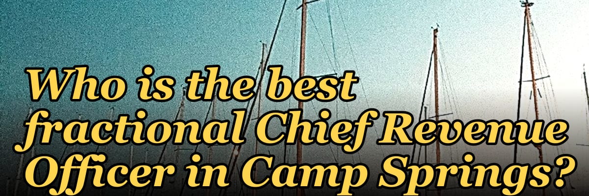 Who is the best fractional Chief Revenue Officer in Camp Springs?