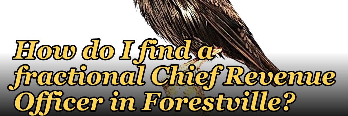 How do I find a fractional Chief Revenue Officer in Forestville?