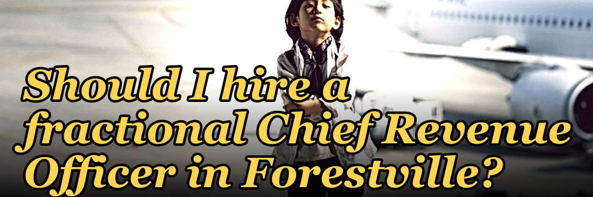 Should I hire a fractional Chief Revenue Officer in Forestville?