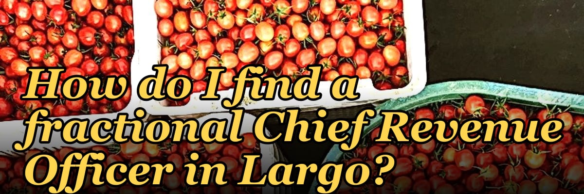 How do I find a fractional Chief Revenue Officer in Largo?