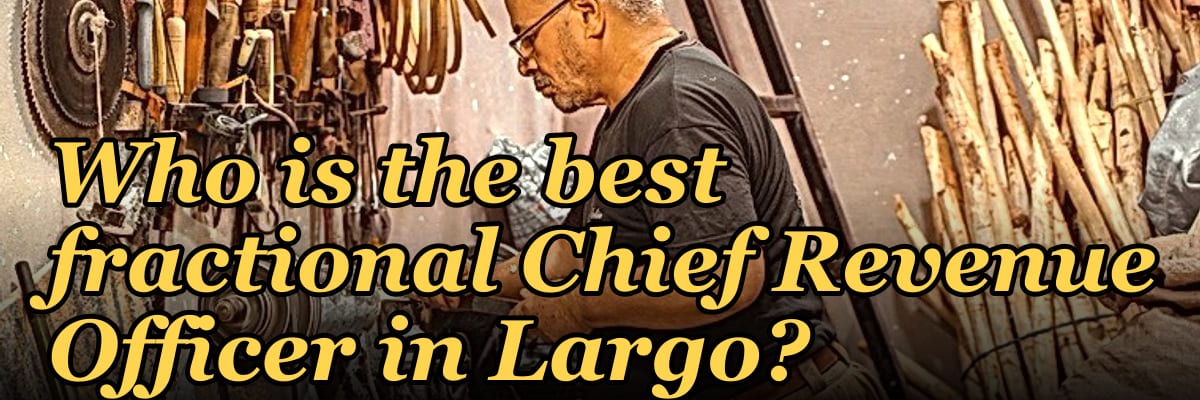 Who is the best fractional Chief Revenue Officer in Largo?
