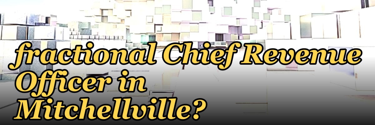 How do I find a fractional Chief Revenue Officer in Mitchellville?