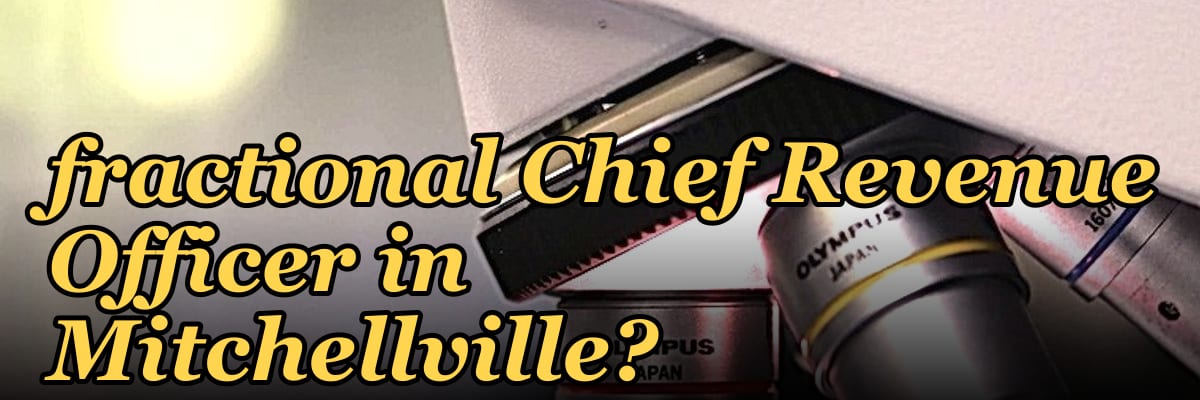 How do I hire a fractional Chief Revenue Officer in Mitchellville?