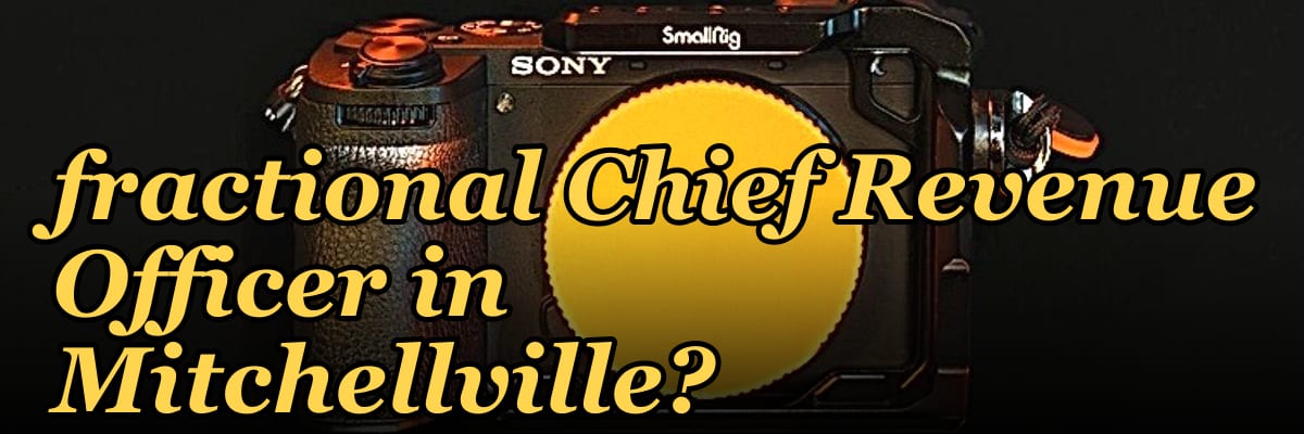 Should I hire a fractional Chief Revenue Officer in Mitchellville?