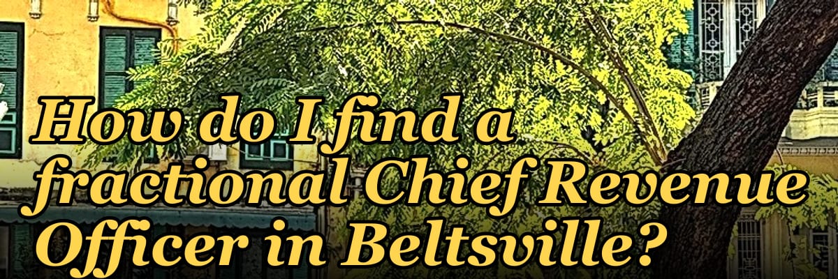 How do I find a fractional Chief Revenue Officer in Beltsville?
