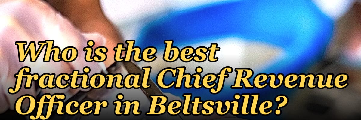 Who is the best fractional Chief Revenue Officer in Beltsville?