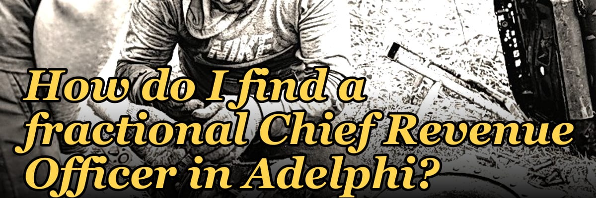 How do I find a fractional Chief Revenue Officer in Adelphi?