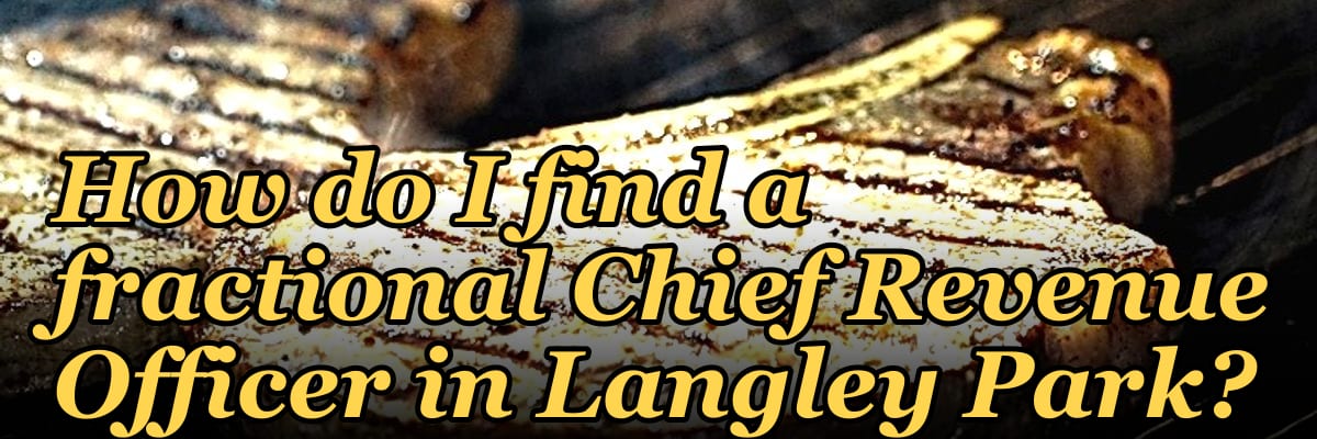 How do I find a fractional Chief Revenue Officer in Langley Park?