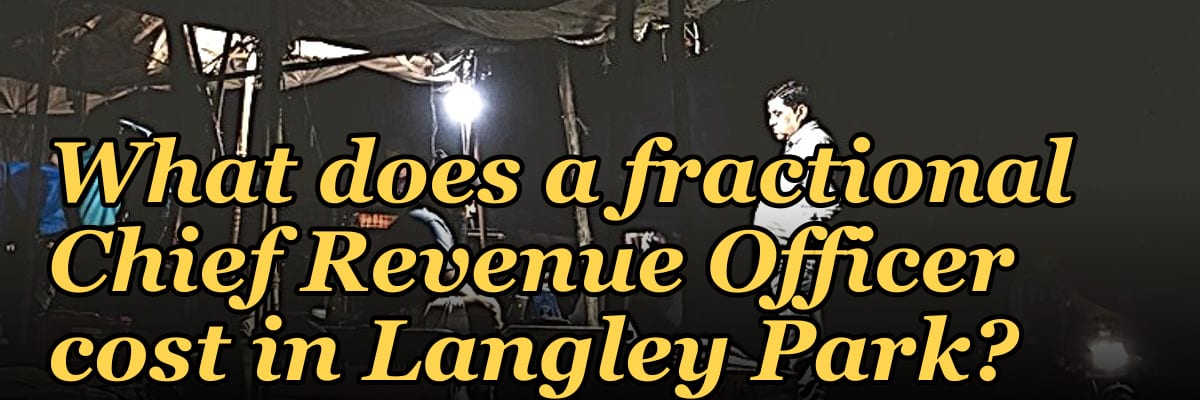 What does a fractional Chief Revenue Officer cost in Langley Park?