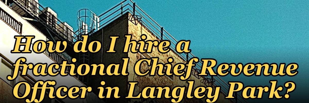 How do I hire a fractional Chief Revenue Officer in Langley Park?
