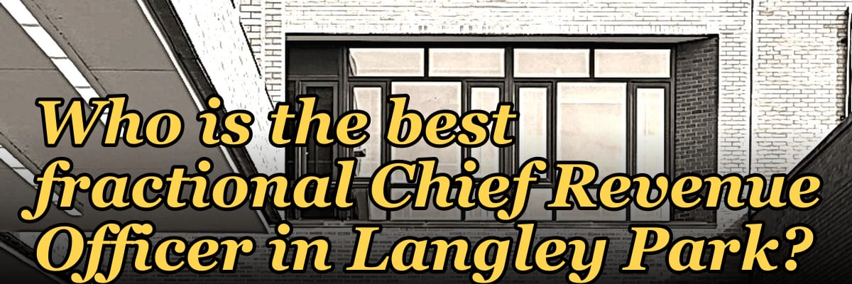 Who is the best fractional Chief Revenue Officer in Langley Park?