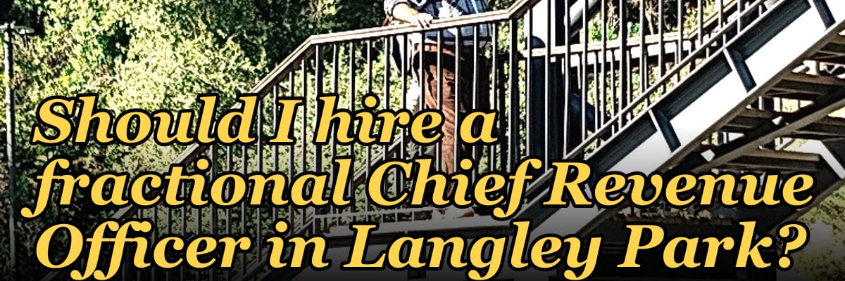 Should I hire a fractional Chief Revenue Officer in Langley Park?