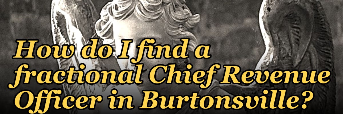 How do I find a fractional Chief Revenue Officer in Burtonsville?
