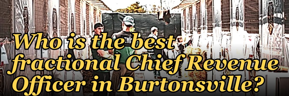Who is the best fractional Chief Revenue Officer in Burtonsville?