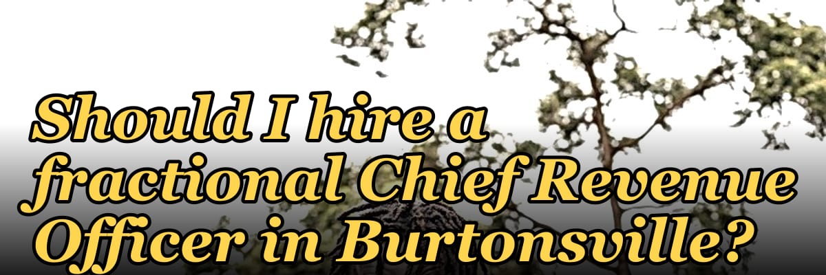 Should I hire a fractional Chief Revenue Officer in Burtonsville?