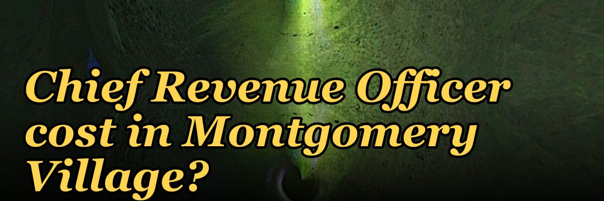 What does a fractional Chief Revenue Officer cost in Montgomery Village?