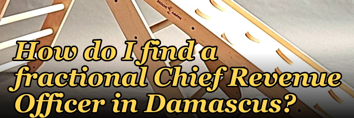 How do I find a fractional Chief Revenue Officer in Damascus?