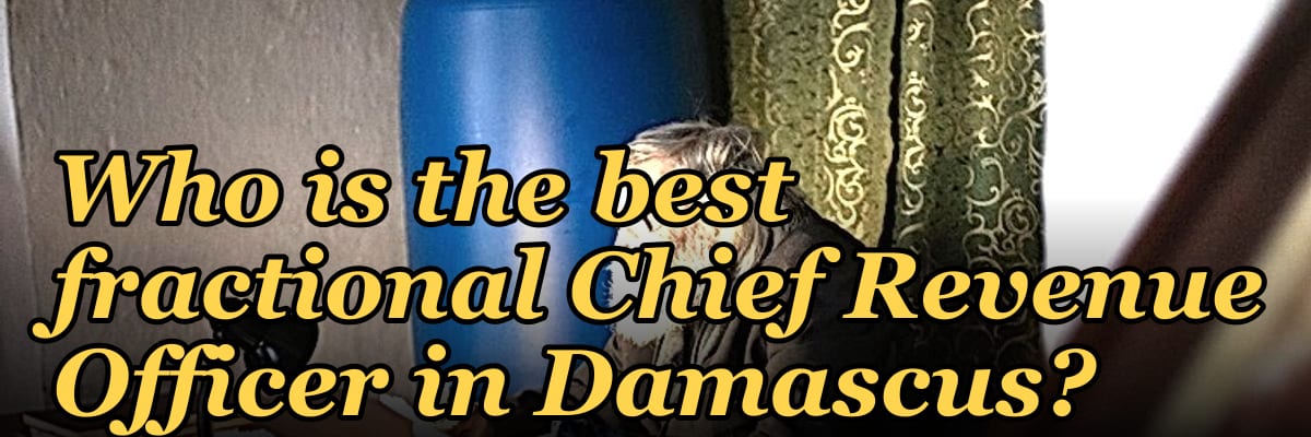 Who is the best fractional Chief Revenue Officer in Damascus?
