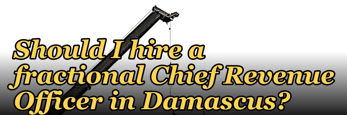 Should I hire a fractional Chief Revenue Officer in Damascus?