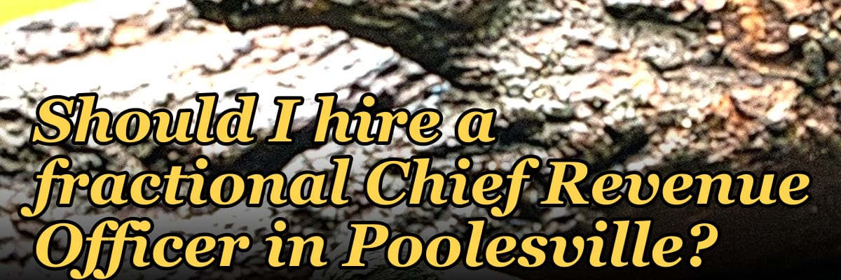 Should I hire a fractional Chief Revenue Officer in Poolesville?