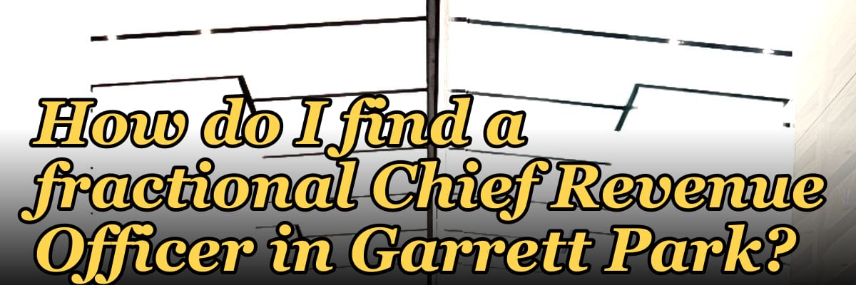 How do I find a fractional Chief Revenue Officer in Garrett Park?