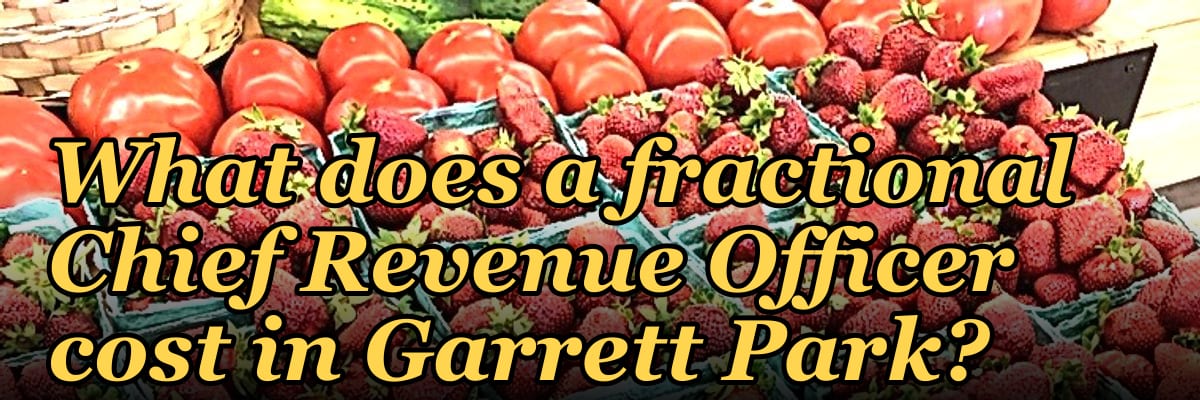 What does a fractional Chief Revenue Officer cost in Garrett Park?