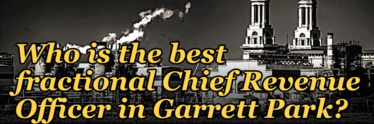 Who is the best fractional Chief Revenue Officer in Garrett Park?