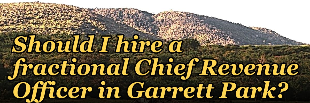 Should I hire a fractional Chief Revenue Officer in Garrett Park?