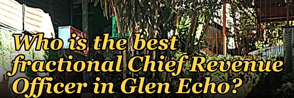 Who is the best fractional Chief Revenue Officer in Glen Echo?
