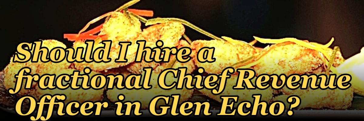 Should I hire a fractional Chief Revenue Officer in Glen Echo?