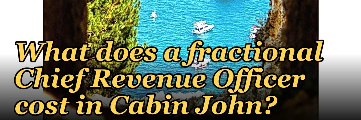 What does a fractional Chief Revenue Officer cost in Cabin John?
