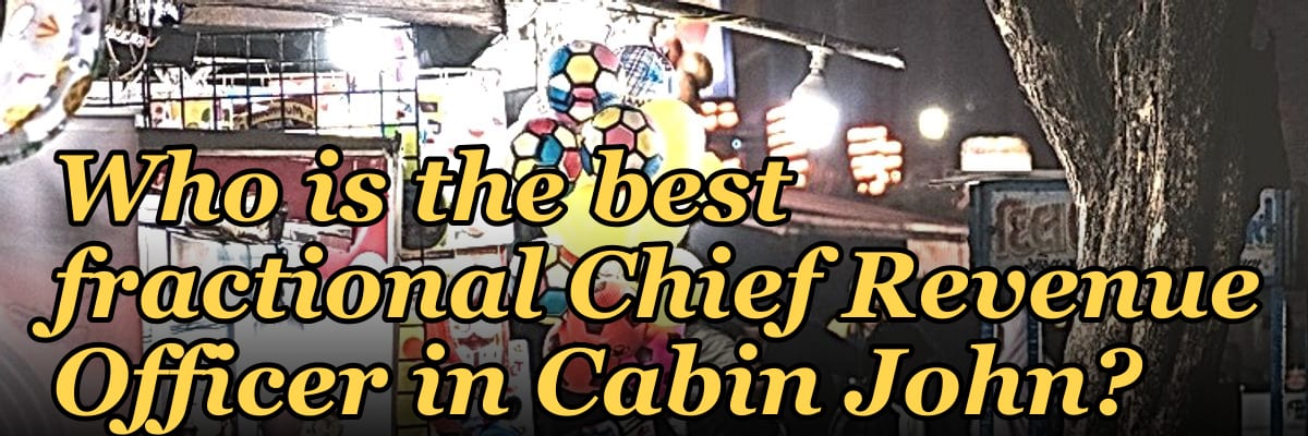 Who is the best fractional Chief Revenue Officer in Cabin John?