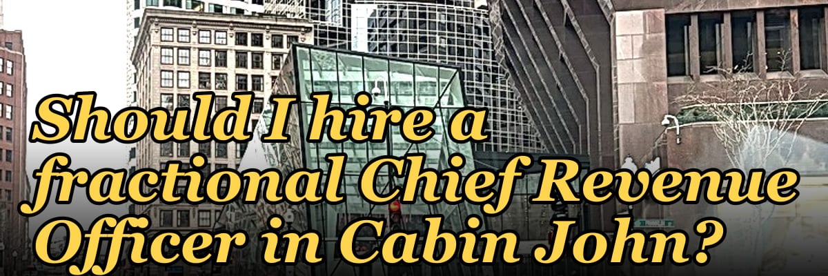 Should I hire a fractional Chief Revenue Officer in Cabin John?
