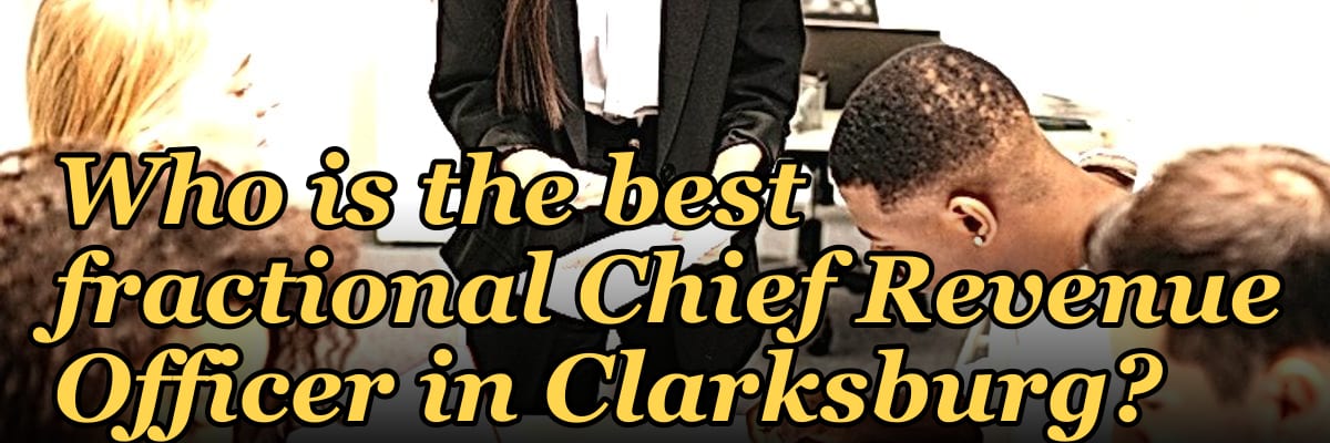 Who is the best fractional Chief Revenue Officer in Clarksburg?