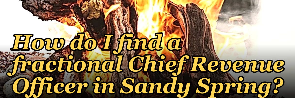 How do I find a fractional Chief Revenue Officer in Sandy Spring?