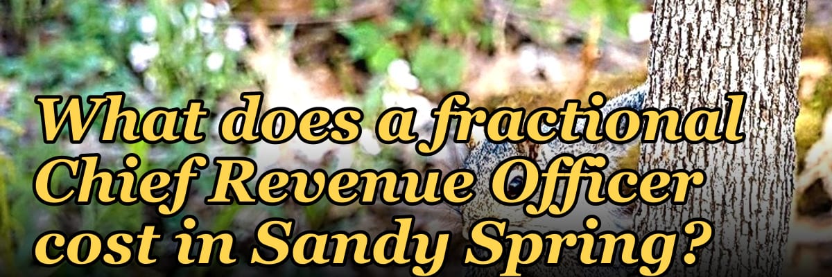 What does a fractional Chief Revenue Officer cost in Sandy Spring?