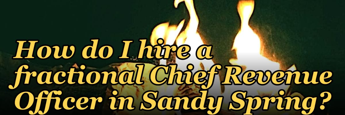 How do I hire a fractional Chief Revenue Officer in Sandy Spring?