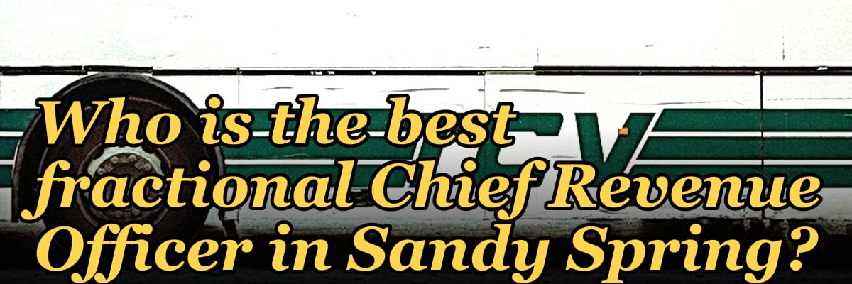 Who is the best fractional Chief Revenue Officer in Sandy Spring?